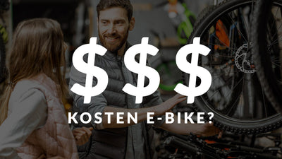 Wie viel kostet ein gutes E-Bike?